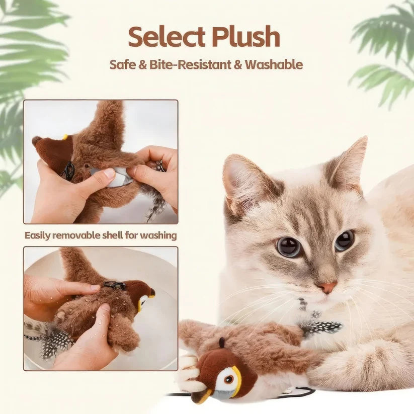 KittyBird Interactive Cat Toy Bundle - Motion Bird + Scratch Mat + Brush | Win $1000 Cash Contest