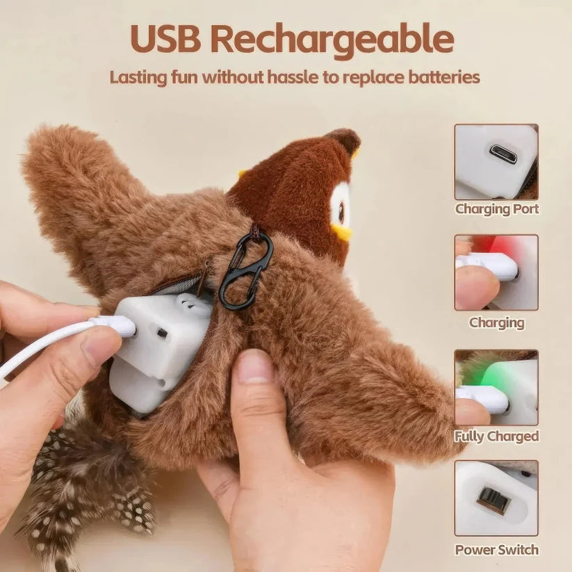 KittyBird Interactive Cat Toy Bundle - Motion Bird + Scratch Mat + Brush | Win $1000 Cash Contest