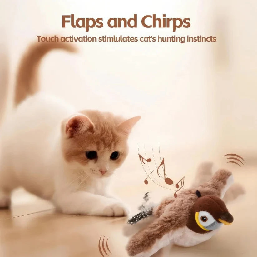 KittyBird Interactive Cat Toy Bundle - Motion Bird + Scratch Mat + Brush | Win $1000 Cash Contest