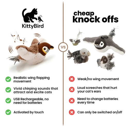 KittyBird Interactive Cat Toy Bundle - Motion Bird + Scratch Mat + Brush | Win $1000 Cash Contest