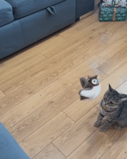KittyBird Interactive Cat Toy Bundle - Motion Bird + Scratch Mat + Brush | Win $1000 Cash Contest